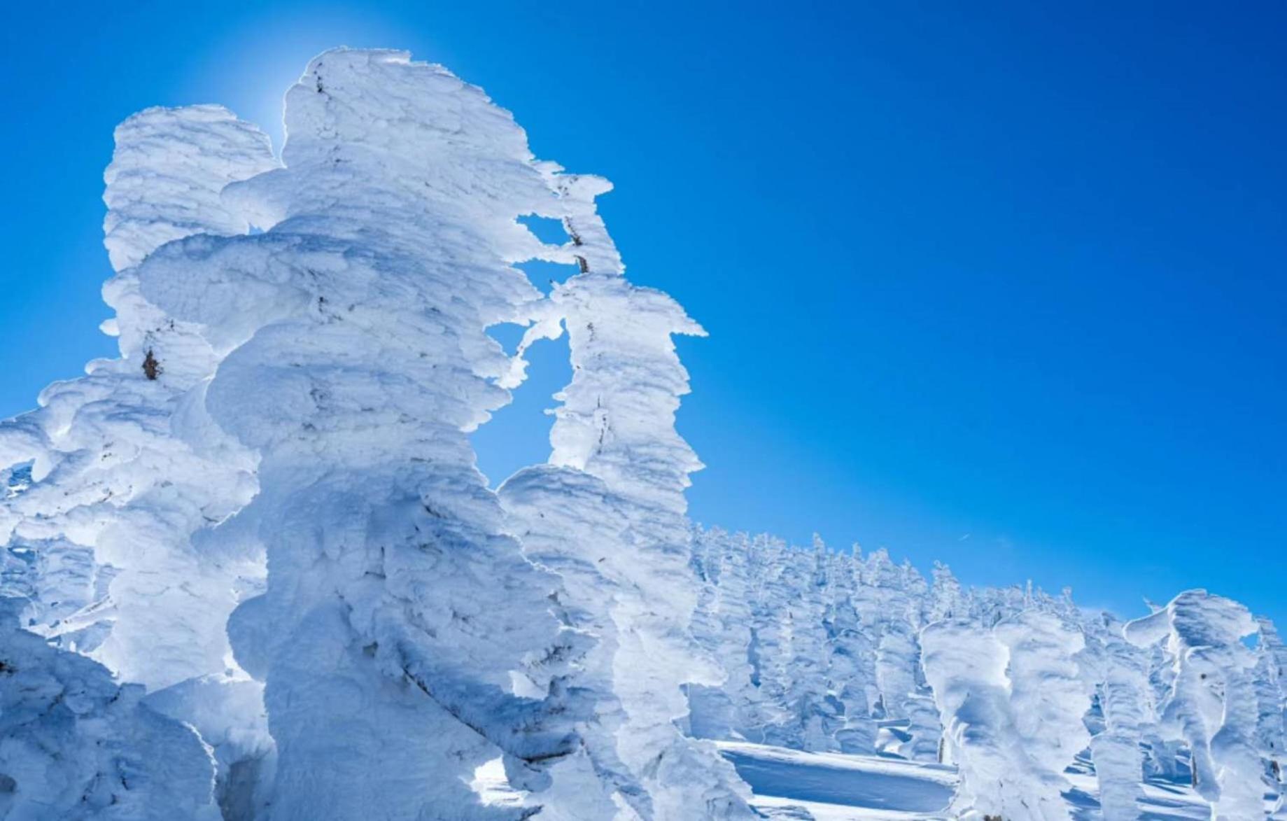 Kaminoyama Snowfall Meteor 飛雪流星 מראה חיצוני תמונה